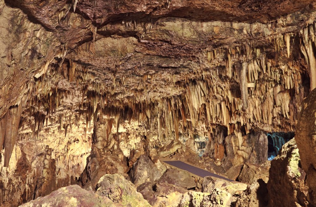 Explore the Natural Bridge Caverns!
