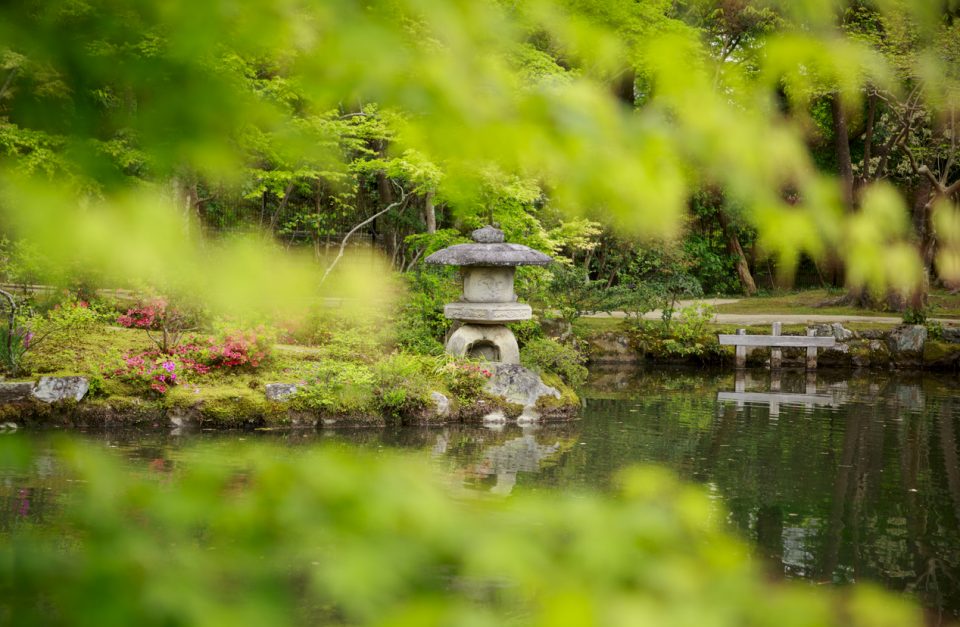 Japanese Tea Garden