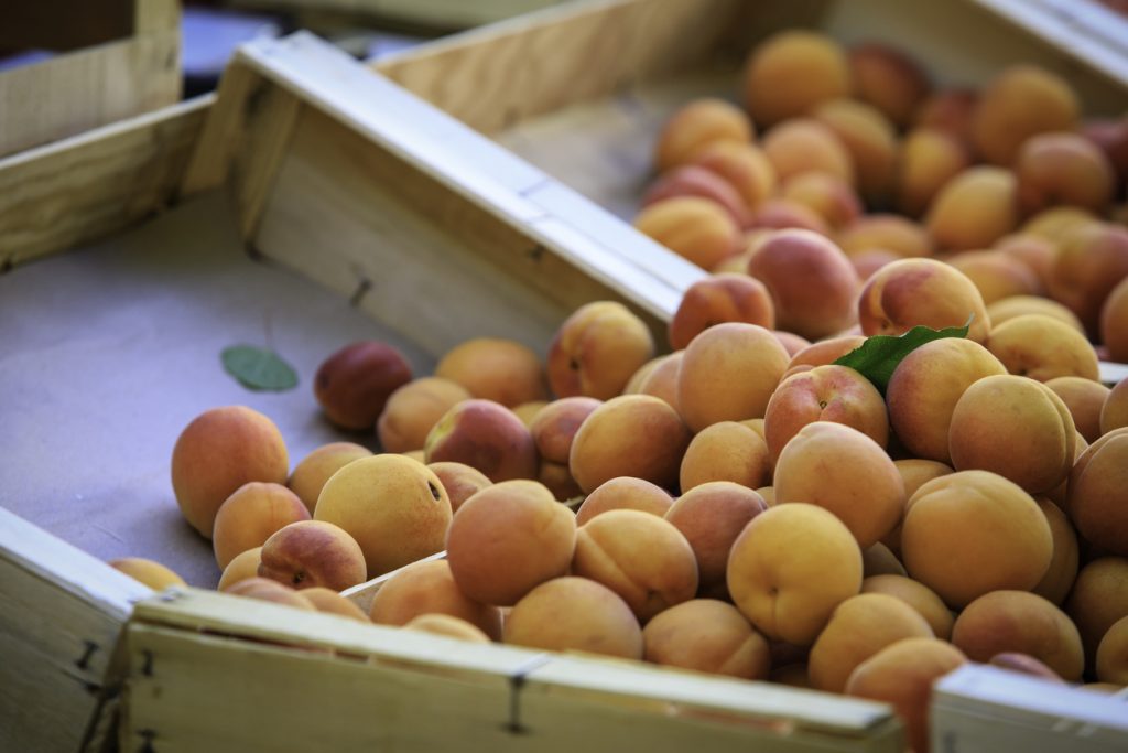 Fresh apricots