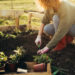 How To Start Your Own Garden